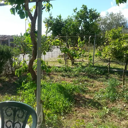 Rexhos *