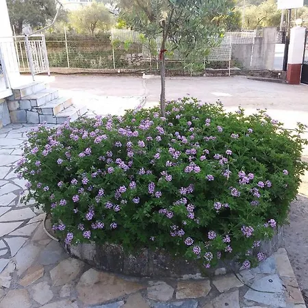 Rexhos Aparthotel