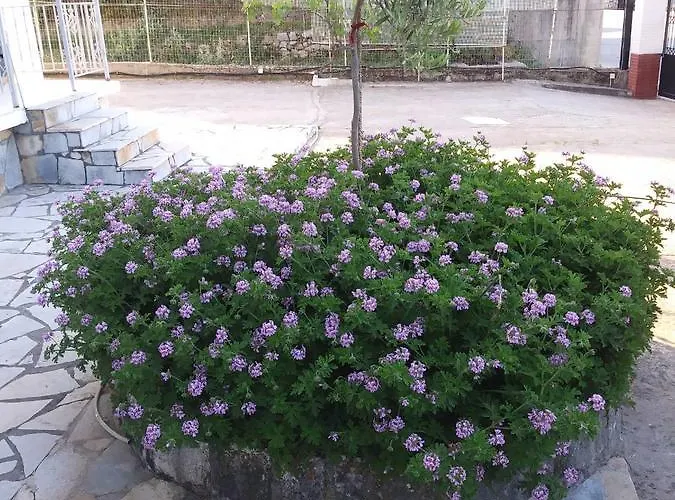 Rexhos 公寓式酒店