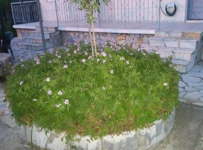 Rexhos 公寓式酒店